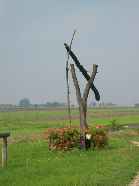 Gasthof Zur Linde Sankt Andrä bei Frauenkirchen Extérieur photo